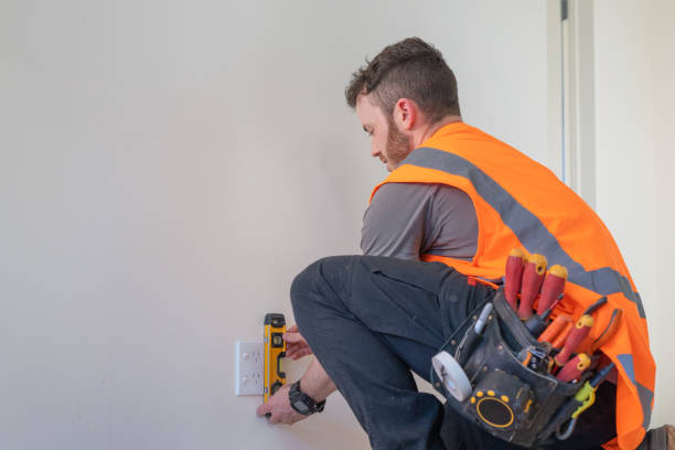 Best Electric Panel Repair  in Mountain Lodge Park, NY